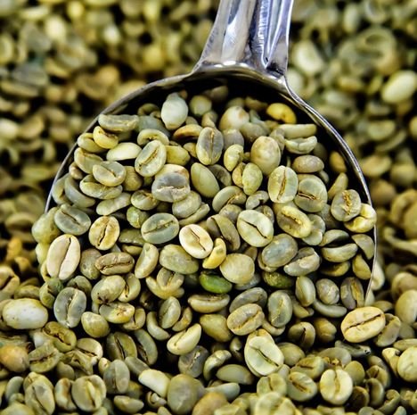 Green Coffee Beans Uganda